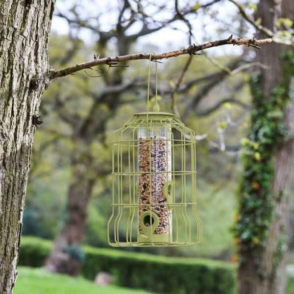 Pastel green caged bird seed feeder