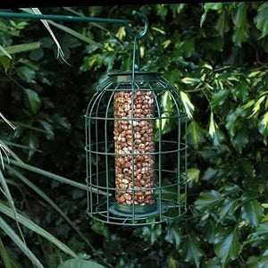 Caged nut bird feeder with squirrel guard