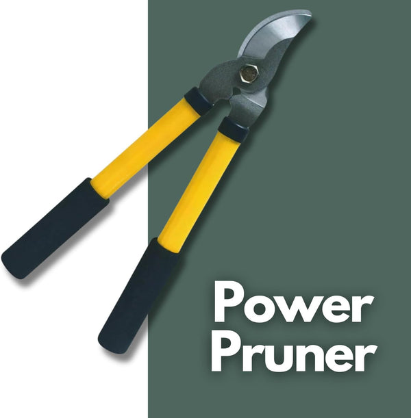 Long handle pruning shears with foam grips