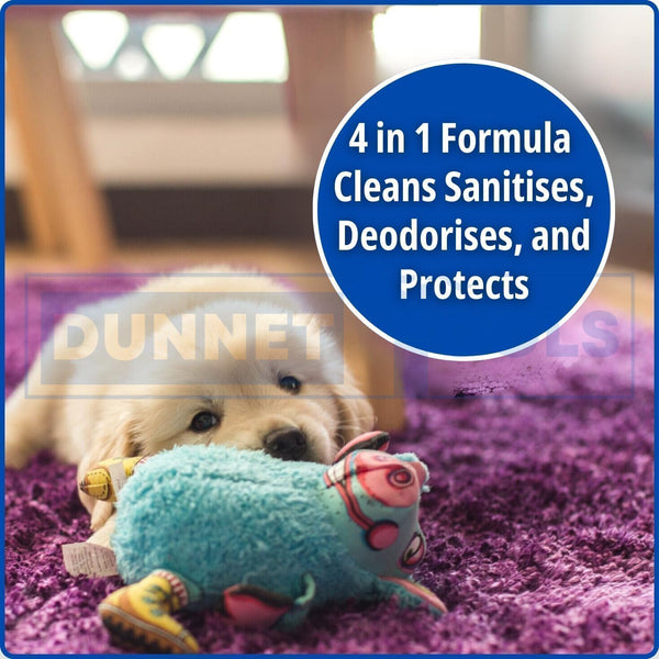 Carpet shampoo cleaning solution