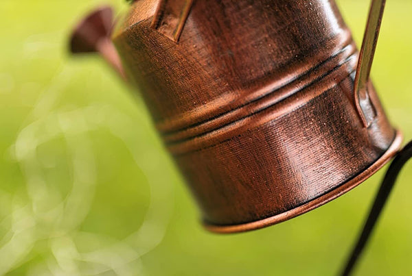 Watering can fairy lights positioned over a plant pot