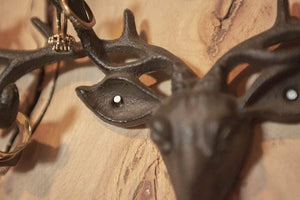 Vintage deer head hooks displayed in a hallway