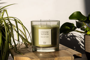 Cedarwood three wick soy wax scented candle