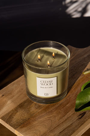 Cedarwood home fragrance candle with an atmospheric glow