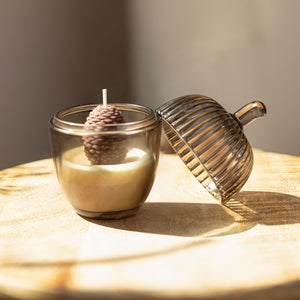 Cinnamon pumpkin fragrance candle