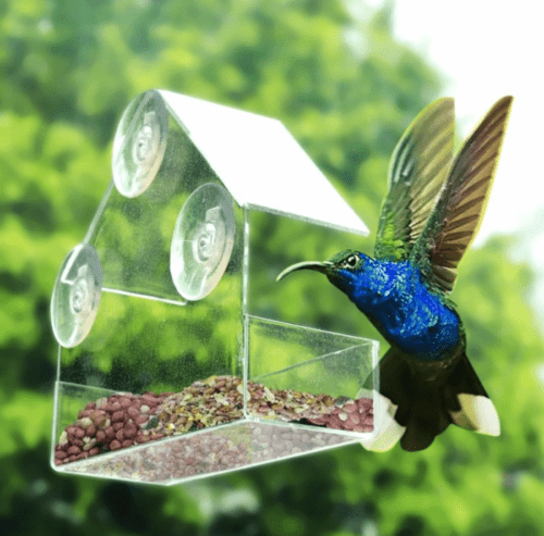 Suction cup bird feeder for watching garden birds indoors