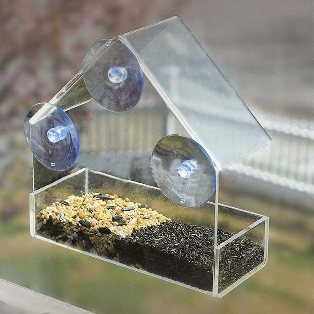 Clear window bird feeder with suction cups