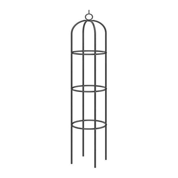 Tall metal garden obelisk for climbing plants and roses