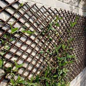 Willow finish expandable garden trellis