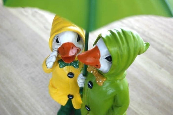 Weatherproof duck couple ornament shown from front