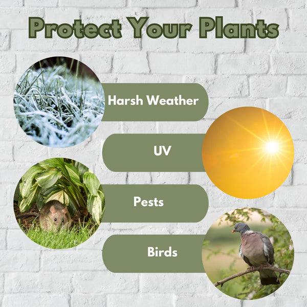 Weather resistant wooden cold frame