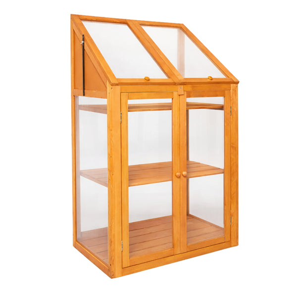 Garden greenhouse containing seedlings and herbs