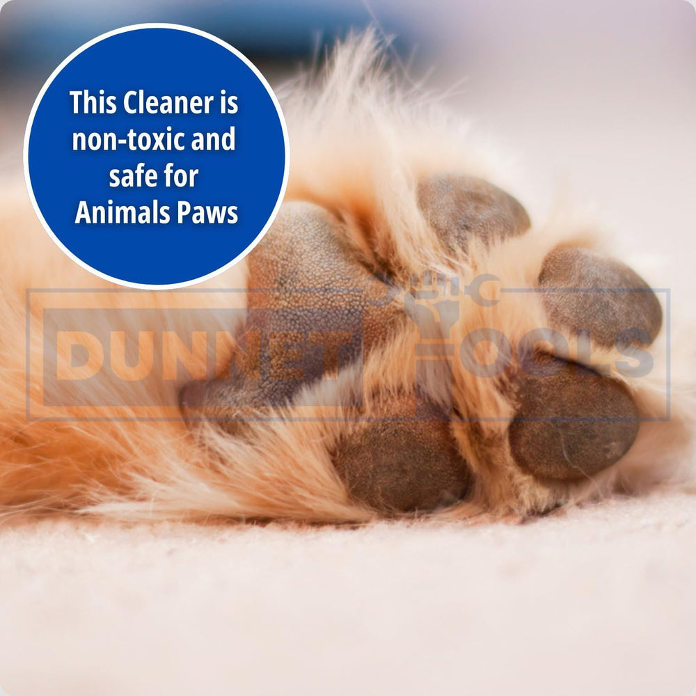 5 litre pet stain and odour remover cleaner