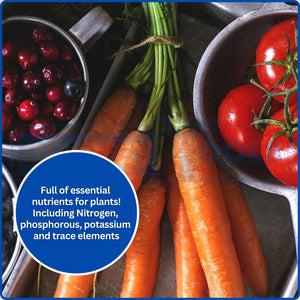 liquid tomato fertiliser concentrate