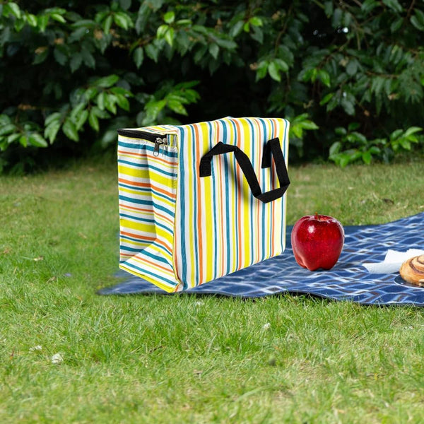 reusable lunch cooler bag for everyday use