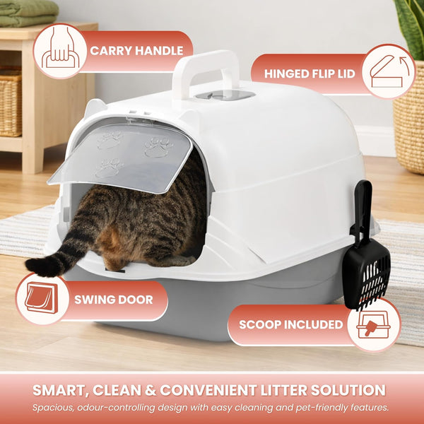 large cat litter box