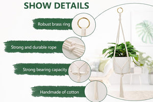 Indoor outdoor hanging plant display.