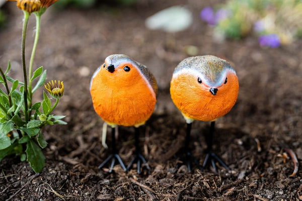 Outdoor robin ornaments on garden border