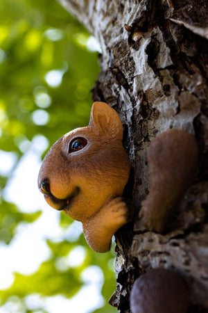 Resin squirrel garden decoration shown close up