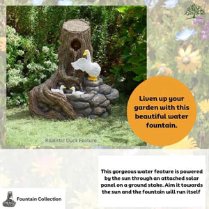 freestanding solar fountain