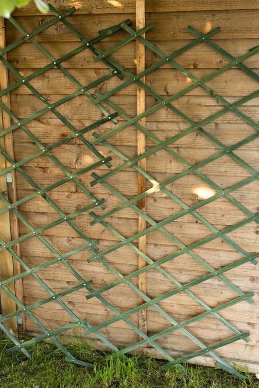wooden expanding trellis Heavy Duty Plant Support Wooden Expanding Trellis for Climbing Plants
