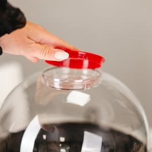 5L popcorn maker displayed for a home party