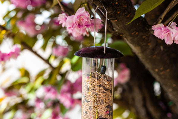 Bird seed feeder with lift up refill lid