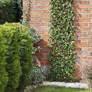 Expandable garden privacy fence panel