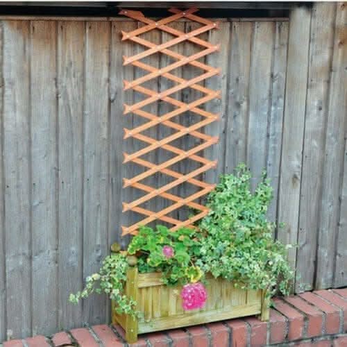 Expanding trellis supporting climbing garden plants