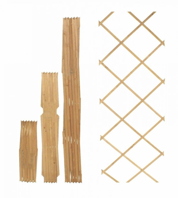 Expandable wooden trellis displayed against wall