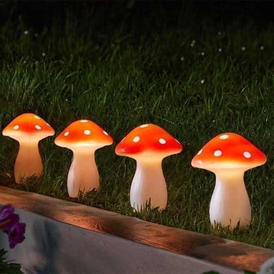 Four colourful fairy mushrooms arranged in a garden bed