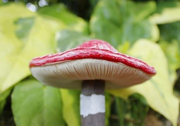 Hand painted toadstool statues with detailed caps