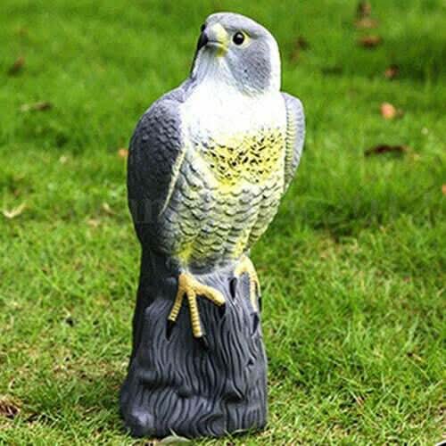 Multicoloured realistic falcon bird deterrent ornament