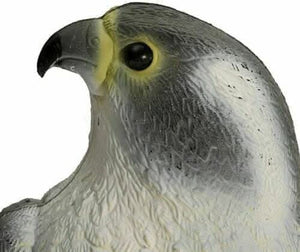 Multicoloured falcon bird scarer for gardens