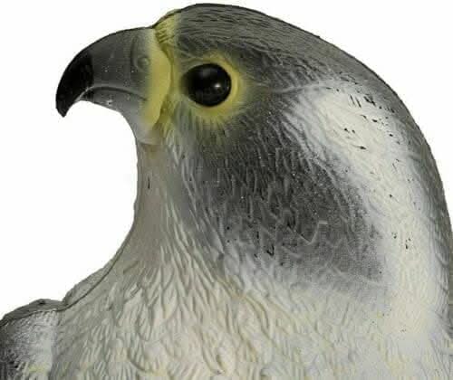 Multicoloured falcon bird scarer for gardens