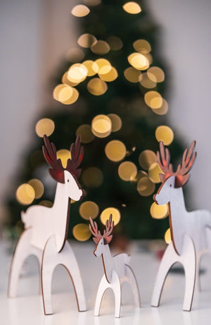 Christmas wooden reindeer ornament set