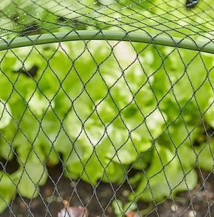 Plastic garden netting for bird protection
