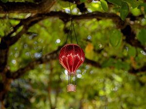 Metal solar lantern hanging from tree branch