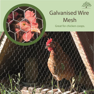 Rust-resistant galvanised mesh for chicken runs