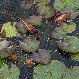 Protective mesh net for allotment fruit and vegetables
