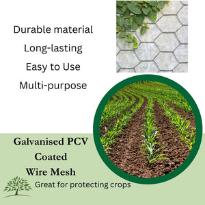 Hexagonal wire netting protecting garden plants.