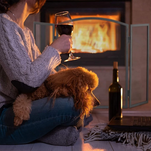 Fine mesh fire screen for wood burner