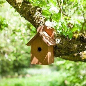 fsc-certified-pine-nesting-box-with-entrance-hole