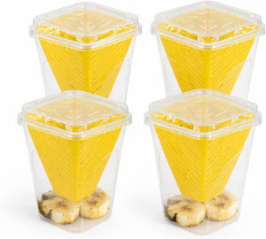 Indoor pest control fly trap set