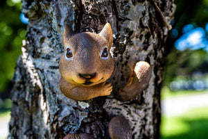 Tree mounted squirrel ornament shown from front