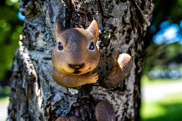 Tree mounted squirrel ornament shown from front