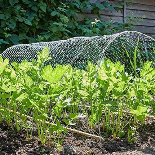 Galvanised chicken wire mesh roll for garden fencing