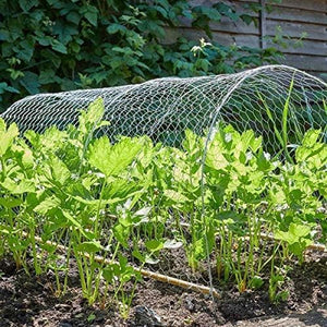 Galvanised chicken wire mesh roll for garden fencing
