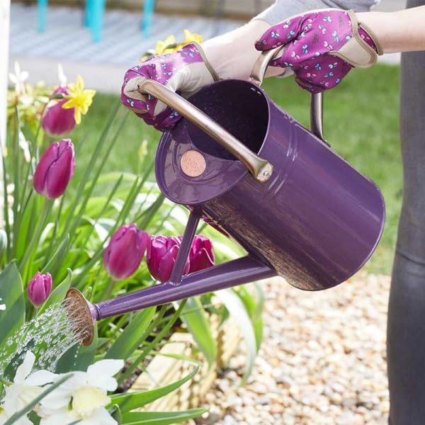 Galvanised steel garden watering can with violet finish