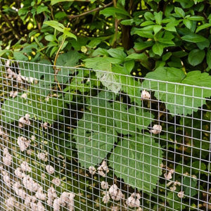 Silver galvanised wire mesh with 13mm square openings